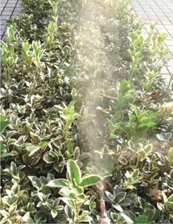 旋流噴嘴噴霧現場圖