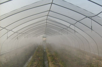 大棚噴霧系統(tǒng)